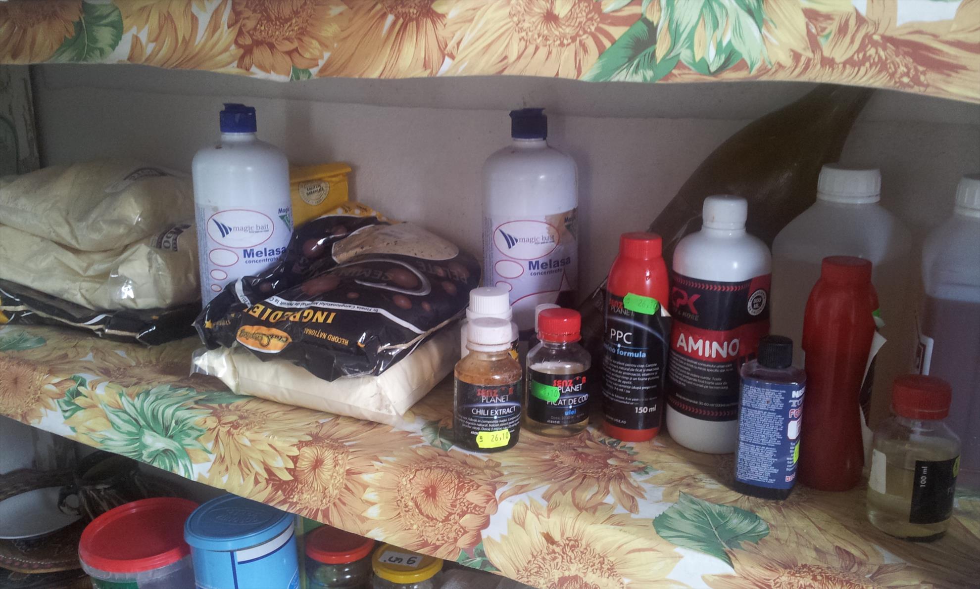 Pregatiri 2014 - 20140215144403.jpg